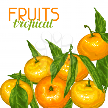 Background with mandarins. Tropical fruits and leaves.