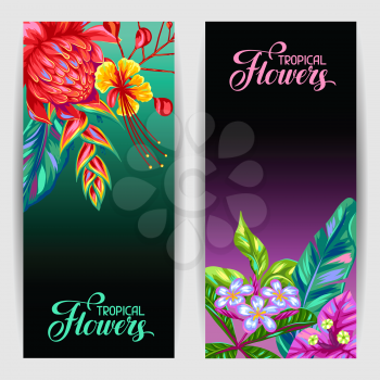 Banners with Thailand flowers. Tropical multicolor plants, leaves and buds.