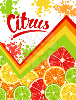 Poster with citrus fruits slices. Mix of lemon lime grapefruit and orange.