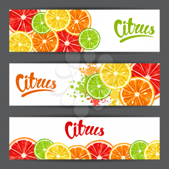 Banners with citrus fruits slices. Mix of lemon lime grapefruit and orange.