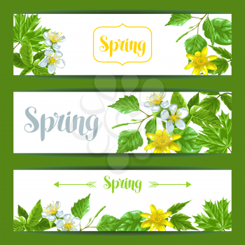 Spring green leaves and flowers. Banners with plants twig buds.