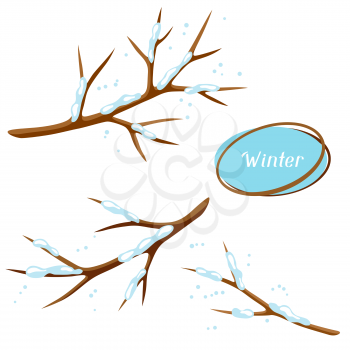 Winter set with branches of tree and snow. Seasonal illustration.