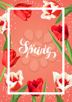 Spring background with red and white tulips. Beautiful realistic flowers, buds and leaves.