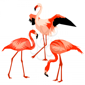 Set of flamingo. Tropical bright abstract birds.
