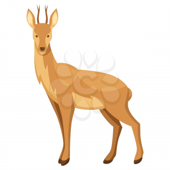 Stylized illustration of deer. Woodland forest animal on white background.