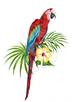 Illustration of macaw parrot. Tropical exotic bird, palm leaves and hibiscus flowers.
