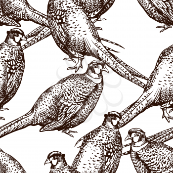 Seamless pattern with pheasants. Antique engraving illustration with birds.