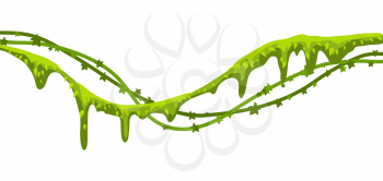 Twisted wild lianas branches banner. Jungle vines plants. Woody natural tropical rainforest.