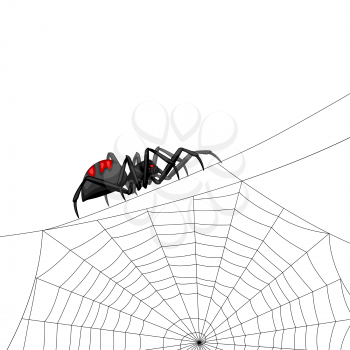 Background with black widow spider. Banner for Halloween holiday.