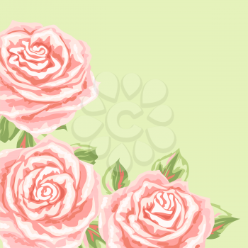 Background or card with pink roses. Beautiful realistic flowers, buds and leaves.