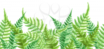 Seamless pattern with fern leaves. Natural tropical forest plants.