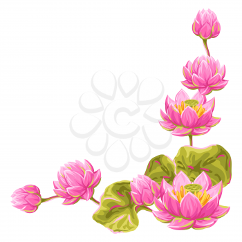 Decorative element with lotus flowers. Water lily illustration. Natural tropical plants.