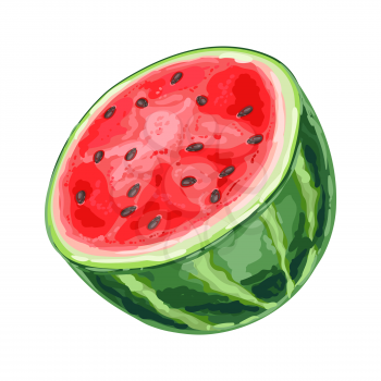 Illustration of ripe watermelon slice. Summer fruit in decorative style.