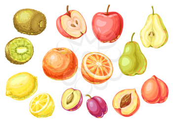 Set of ripe fruits. Tropical vegetarian food decorative illustration.