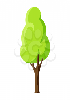 Spring or summer stylized tree with green leaves. Natural illustration
