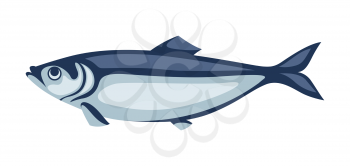 Illustration of herring fish. Pacific sardine. Seafood image.