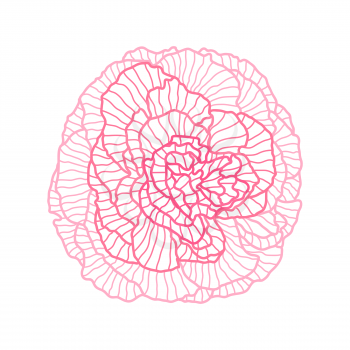 Illustration of linear rose. Beautiful decorative stylized summer flower.