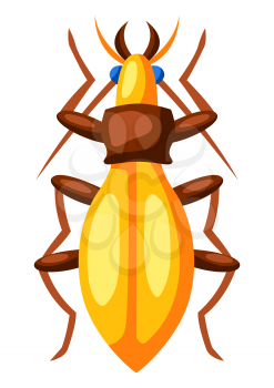 Illustration of colorful beetle. Stylized decorative color insect.