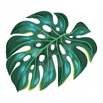 Illustration of stylized monstera palm leaf. Decorative image of tropical foliage and plant.