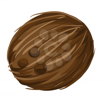 Stylized illustration of coconut. Image for design and decoration. Object or icon in hand drawn style.