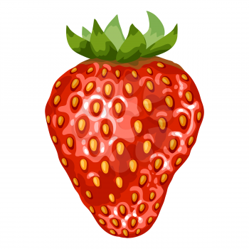 Stylized illustration of strawberry. Image for design and decoration. Object or icon in hand drawn style.