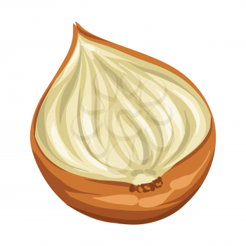Stylized illustration of onion. Image for design and decoration. Object or icon in hand drawn style.