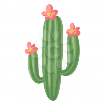 Stylized illustration of cactus. Image for design and decoration. Object or icon in abstract style.
