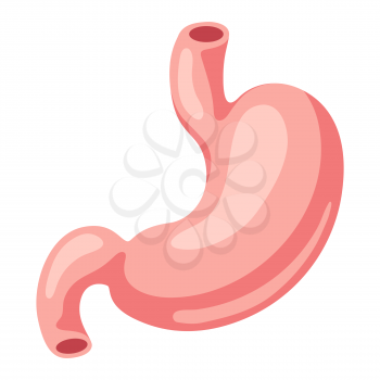Illustration of stomach internal organ. Human body anatomy. Health care and medical education icon.