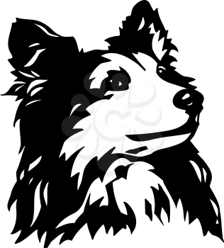 Shetland Clipart