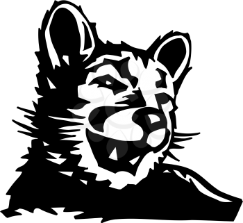 Pumas Clipart