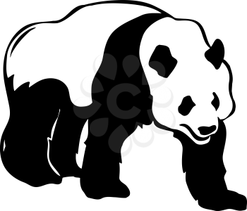 Pandas Clipart