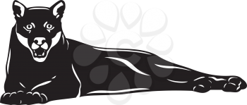 Puma Clipart