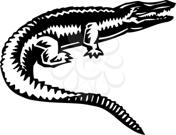 Alligators Clipart