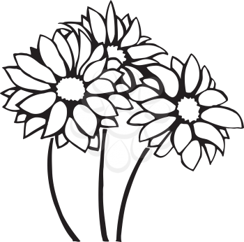 Chrysanthemums Clipart