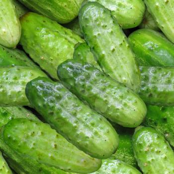 Pickles Stock Photo