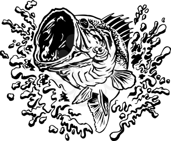 Bass Clipart