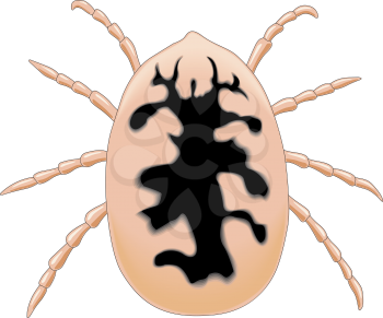 Parasite Clipart