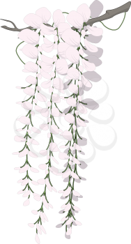Blossoming Clipart