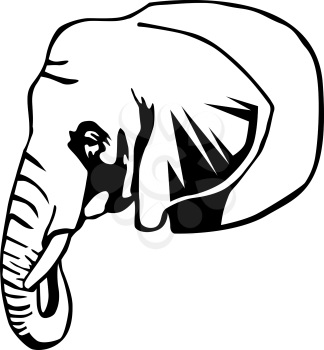 Tusks Clipart