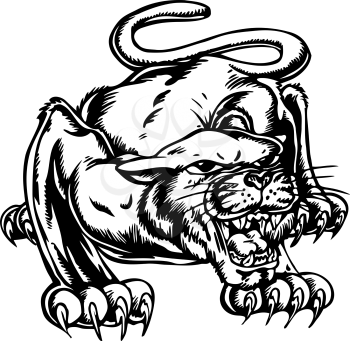 Mountainlion Clipart