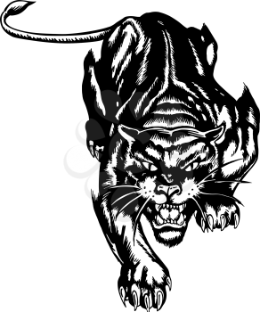 Cougars Clipart