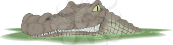 Crocodiles Clipart