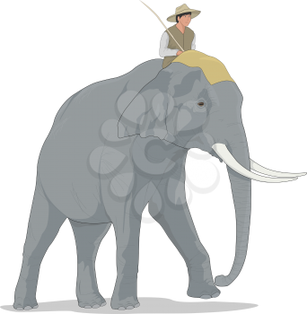 Elephants Clipart