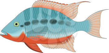 Firemouth Clipart