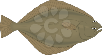 Sole Clipart