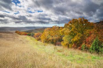 Autumn landscape. Composition of nature.