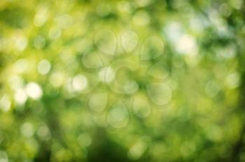 Bokeh background. Element of design.