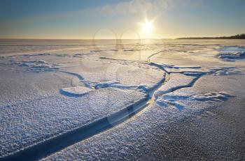 Winter landscape. Composition of nature.