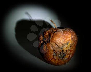 Rotten apple in dark. Play with light. 