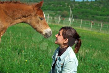 Foal and girl. Element of design.